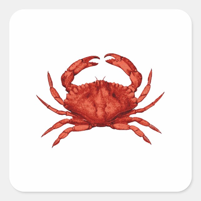 Sticker Carré Crabe de Rocher Rouge (Pacifique) (Devant)