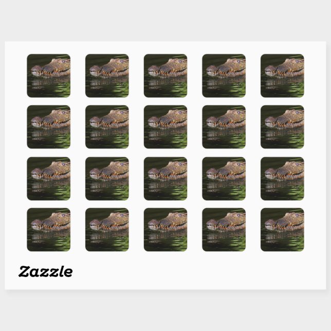Sticker Carré Crocodile (Feuille)