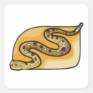 Sticker Carré Crotale enroulé Serpent Désert du Sud-Ouest