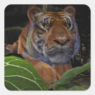 Sticker Carré Crouching des tigres dans la jungle