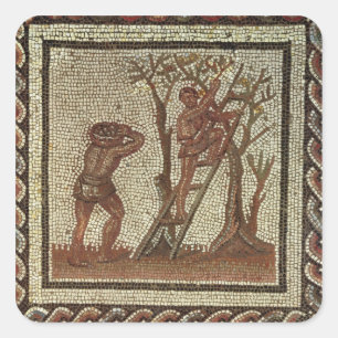 Sticker Carré cueillette de fruits, mosaïque romaine