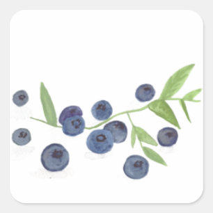 Sticker Carré Cuisine de fruits Blueberries aquarelle baies chic