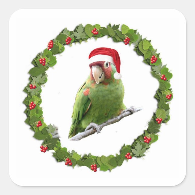 Sticker Carré Cure Christmas Wreath (Devant)