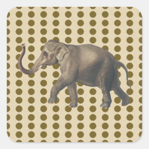 Sticker Carré Curry Spice Moods Doses avec éléphant