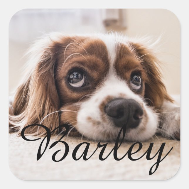 Sticker Carré Custom Dog Name Design – Personalized Dog Lover Gi (Devant)