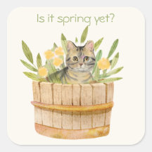 Cute Chat dans un tonneau de fleurs