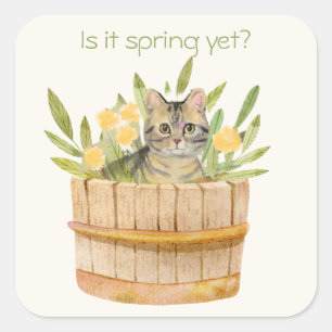 Sticker Carré Cute Chat dans un tonneau de fleurs