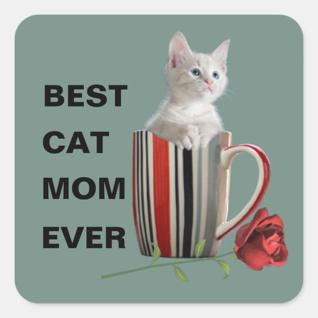 Sticker Carré Cute Chat Kitten Animaux de compagnie Amateurs Cad (Devant)