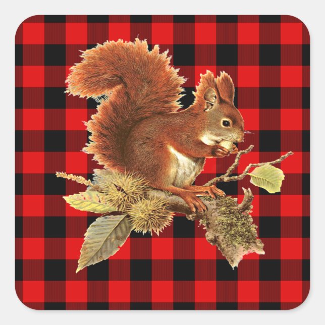 Sticker Carré Cute écureuil rouge noir Buffalo Check Plaid (Devant)