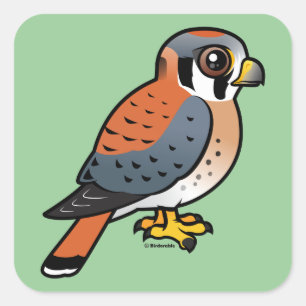 Sticker Carré Cute Kestrel Américain