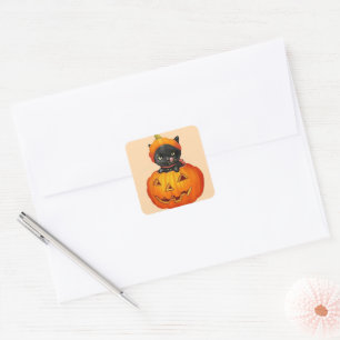 Sticker Carré Cute kitten en Halloween citrouille