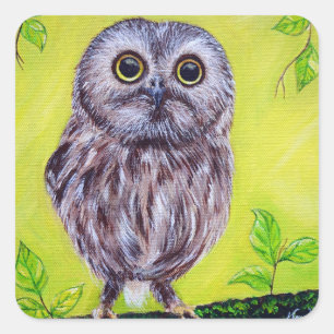 Sticker Carré Cute Owl