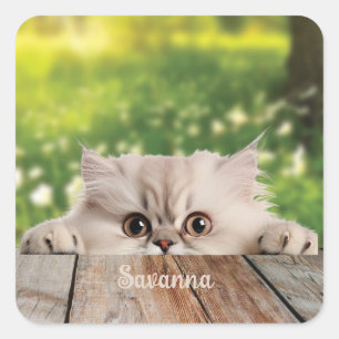 Sticker Carré Cute Perse Peeking Chat