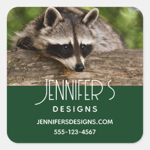 Sticker Carré Cute Raccoon reposant sur une entreprise de journa