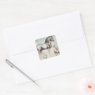 Sticker Carré Da Vinci Horse Study Renaissance Sketch Art