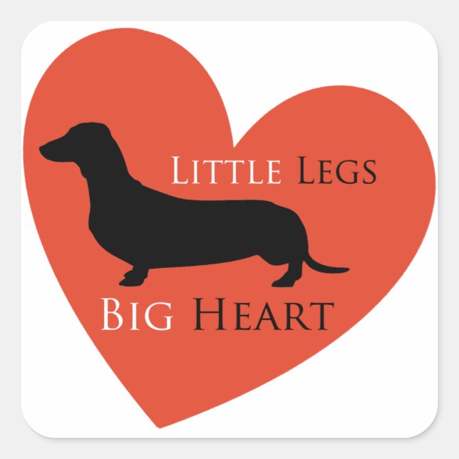 Sticker Carré Dachshund (Devant)