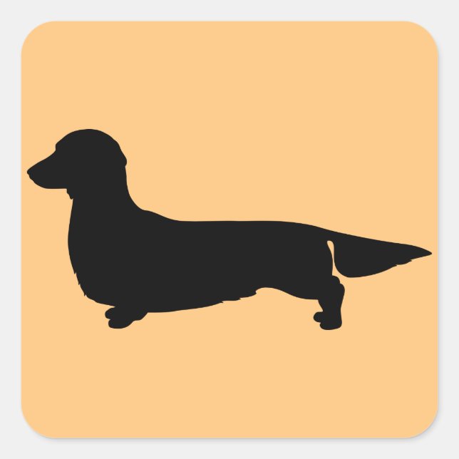 Sticker Carré Dachshund aux cheveux longs (Devant)