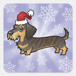 Sticker Carré Dachshund de Noël (cheveux filaires)