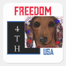 Dachshund Rouge     