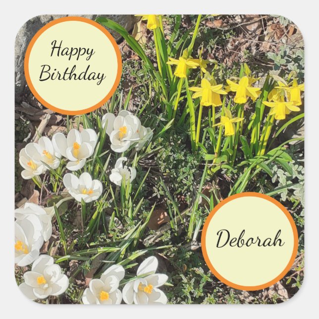 Sticker Carré Daffodiles et Crocus Anniversaire (Devant)