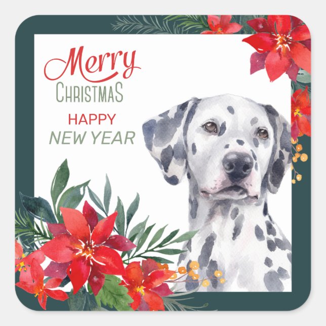 Sticker Carré Dalmatie Poinsettia frontière Noël (Devant)