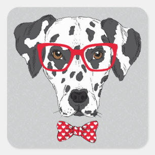 Sticker Carré Dalmatien à la mode