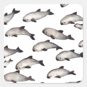 Sticker Carré dauphin de marsouin du vaquita 30