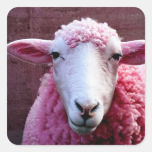 Sticker Carré de mouton rose