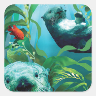 Sticker Carré de Sea Otter's Garden