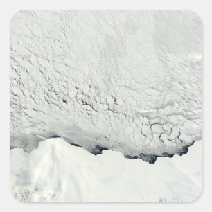 Sticker Carré Début du printemps en Antarctique