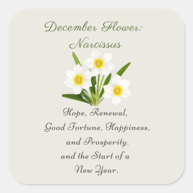 Sticker Carré Décembre Mois de naissance Fleur Narcisse Élégant (Devant)