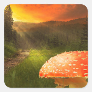 Sticker Carré Définition du soleil d'automne.
