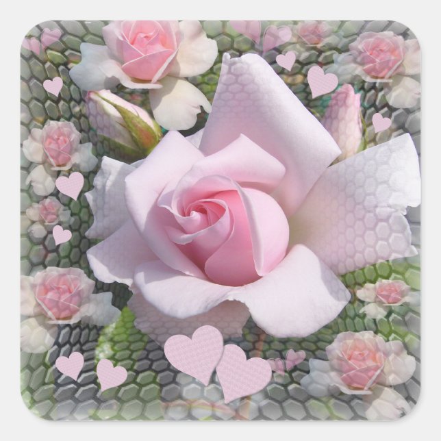 Sticker Carré Delicate Pale Pink Rose with Hearts (Devant)