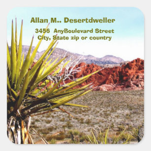Sticker Carré Desert Scenery Cactus Adresse de retour