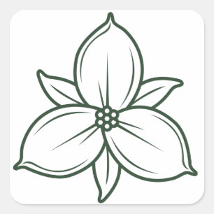 Sticker Carré design élégant linéaire trillium