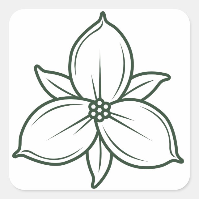 Sticker Carré design élégant linéaire trillium (Devant)