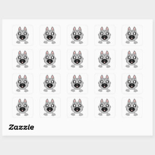 Sticker Carré Dessin allemand Shepherd Silver et noir Peeking