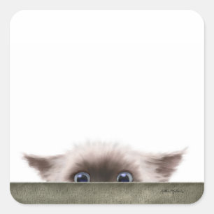 Sticker Carré Dessin animé de chaton siamois vous traquant