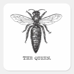 Sticker Carré Dessin classique de l'illustration de Queen Bee