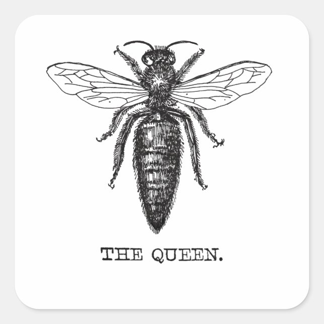 Sticker Carré Dessin classique de l'illustration de Queen Bee (Devant)