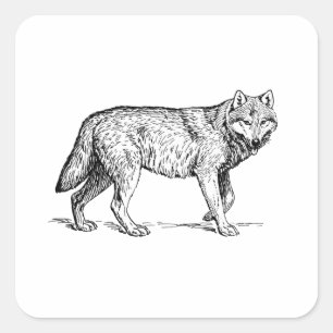 Sticker Carré Dessin d'encre élégante de loup gris