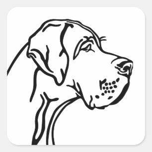 Sticker Carré dessin Great Dane
