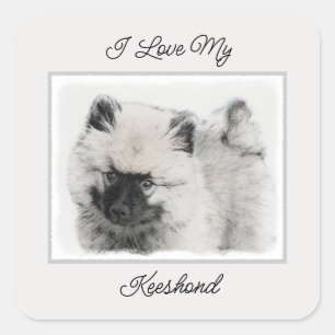 Sticker Carré Dessin Keeshond Chiot - Joli dessin original Chien