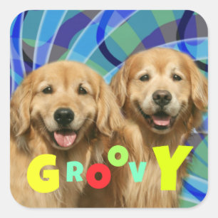 Sticker Carré Deux Chiens rétro Golden Retriever Chiens psychédé
