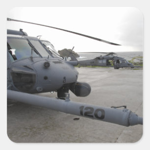 Sticker Carré Deux Hawks HH-60G Pave