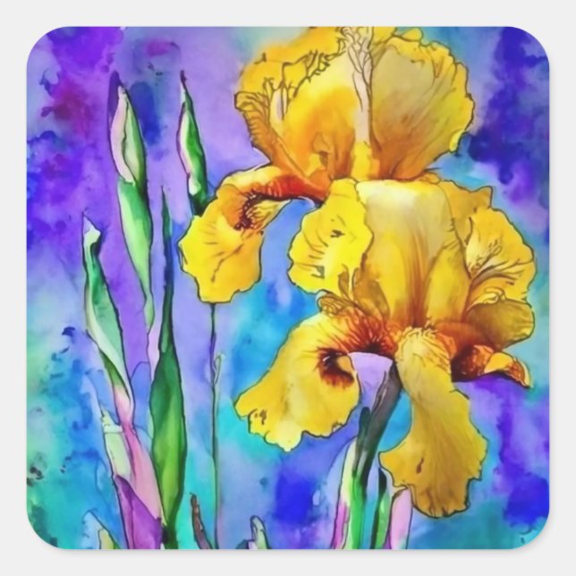 Sticker Carré Deux Irises Jaunes en Aquarelle (Devant)