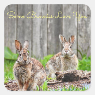 Sticker Carré Deux lapins, Quelques lapins Vous aiment *personna