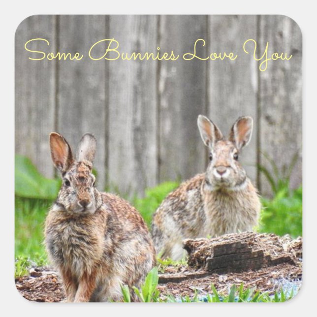 Sticker Carré Deux lapins, Quelques lapins Vous aiment *personna (Devant)