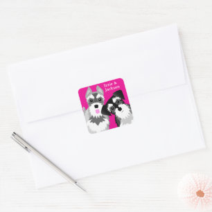 Sticker Carré Deux mignons Schnauzers