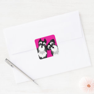Sticker Carré Deux mignons Schnauzers
